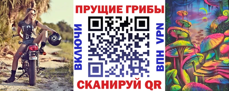 что такое   Александровск  Галлюциногенные грибы прущие грибы 