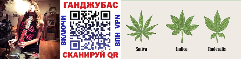 MEGA ONION  где найти наркотики  Александровск  Бошки Шишки Ganja 